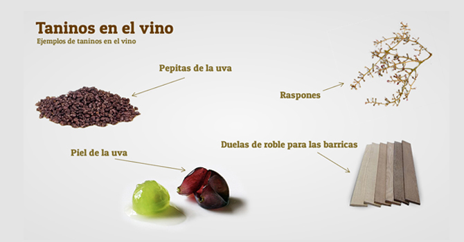 Aromas del vino tinto.